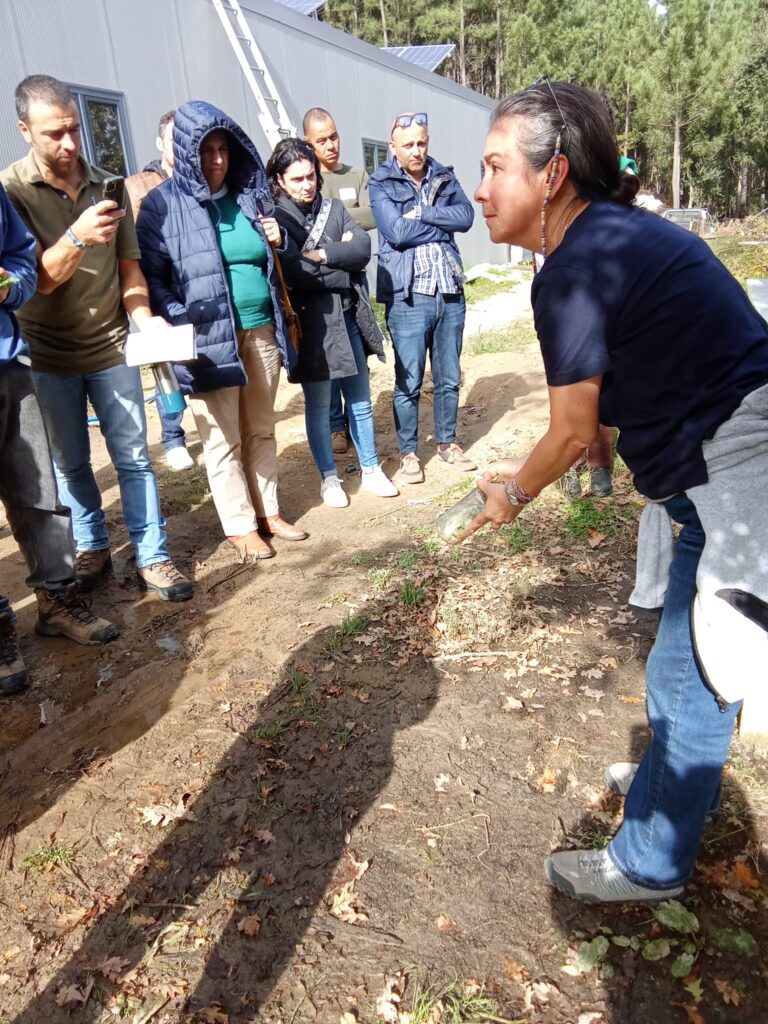 WhatsApp Image 2024-10-30 at 19.15.03