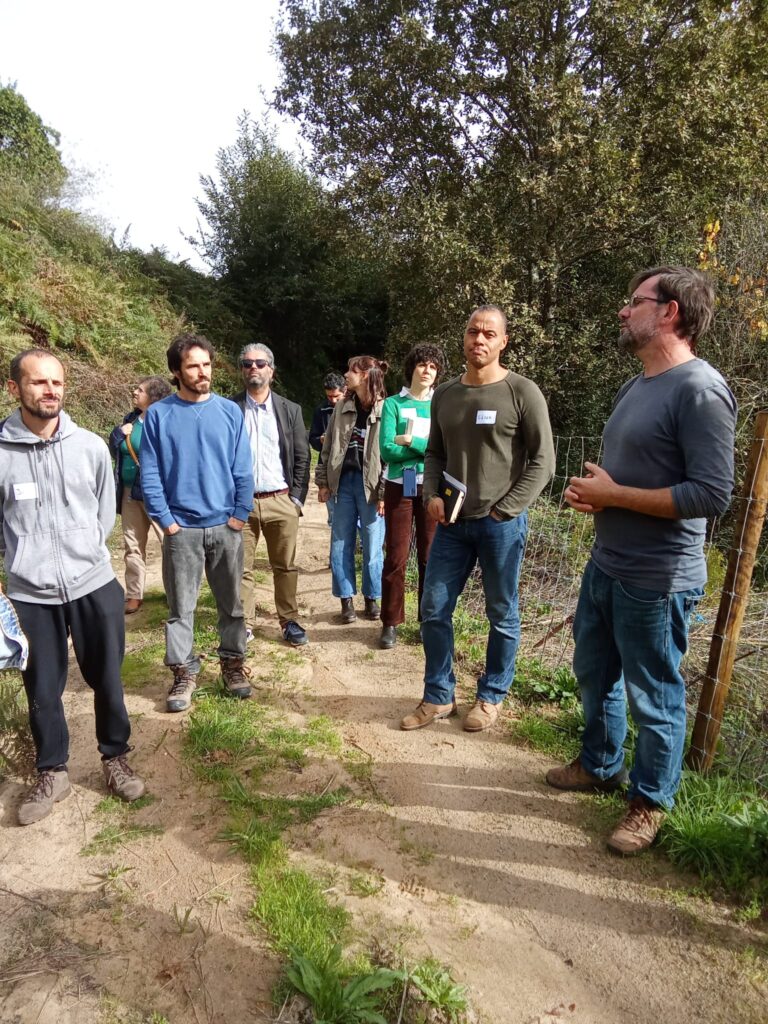 WhatsApp Image 2024-10-30 at 19.15.04 (7)